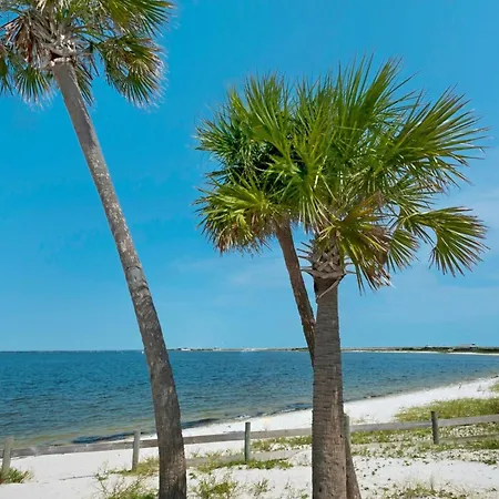 Dolphins & Dunes